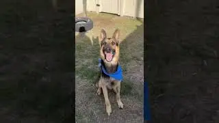 Thor A747586