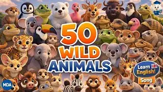 50 WILD ANIMALS SONG for KIDS 🦁🦓 | Learn Animal Names in English (3D)