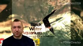 Moja walka z sinicą / proporcje Redfielda @BLACKWATERAQUARIUM