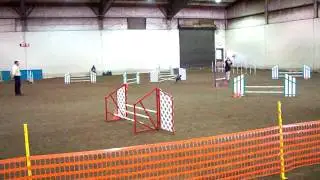 Xolo Agility Quixote's MXJ Title Run.MOV