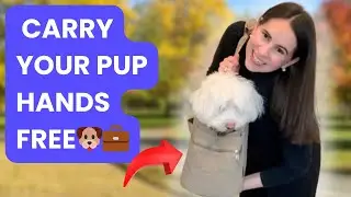 🐶💼 Your Pup, Always Close