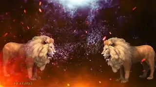 TigerGang intro ;)