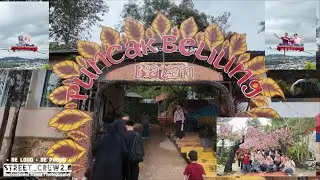 WISATA ALAM PUNCAK BELIUNG BATAM 2025/Destinasi Batam Tourist #batam #indonesia #puncakbeliungbatam 