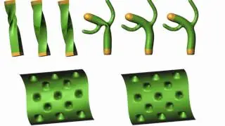 As-Rigid-As-Possible Mesh Animation