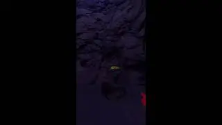 DinVR Live Stream