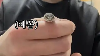 새친구가 왔어요