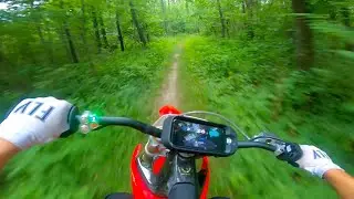Epic FOREST Trails On Stark Varg