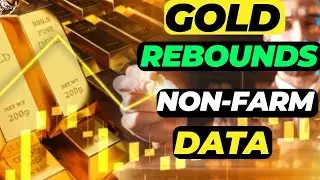 #gold | PRICE REBOUNDS  AND NON FARM EMPLOYMENT DATA |  Gold rates today, #goldanalysis #pmex