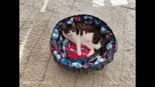 Upcycling old jeans into a Pet bed. Из старых джинс лежанка для кошки.