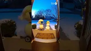 HOA bot mocked by snowman likeness. Kabam!
