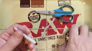 Blue Spring Cookies Ground 25% Roll One Trulieve Eustis