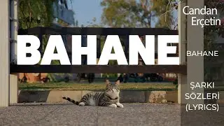 Candan Er&ccedil;etin - Bahane (Lyrics | Şarkı S&ouml;zleri)