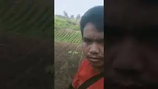 Akses jalan putus#shorts