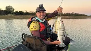 Pescaria de tucunaré na represa linda de três Marias, muita ação de peixes.