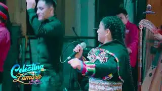 Celestina Zamora  - Mix Chinca Chinca