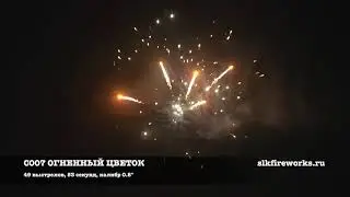 Фейерверк 