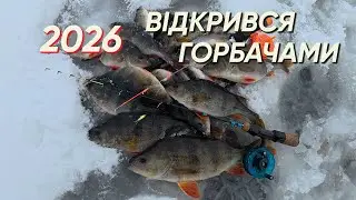 ❄ВІДКРИТТЯ ЗИМОВОГО СЕЗОНУ 2026❄МІКРОН НАКОСИВ ГОРБАТИХ ОКУНІВ❄🐬🐬🐬