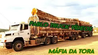 Máfia da Tora / Galera do suco do Pica Pau #BRASIL