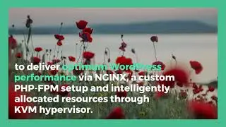 Best hosting for wordpress  2020 2021