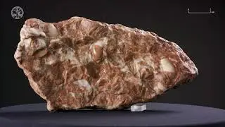 Bioclastic wackestone rudstone