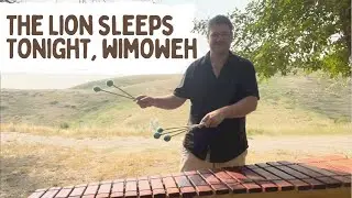 The Lion Sleeps Tonight, Wimoweh - Fun One Man Band Cover! (The Lion King)