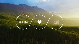 Brella X One Tree Planted