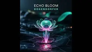 Bogendorfer - Anything Is Possible [B.A.B.A. Records]