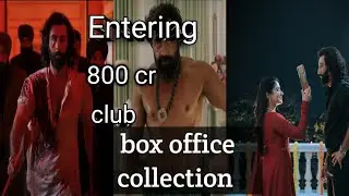 ANIMAL BOX OFFICE COLLECTION DAY 13 | ALL TIME BLOCKBUSTER | RANBIR KAPOOR | EPIC