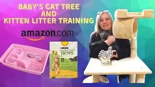 Amazon Go Pet Club 62-Inch Cat Tree and Kitten Litter Training