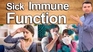 SYMPTOMS THAT INDICATE THAT YOUR IMMUNE SYSTEM IS SICK - Low Immune Function and How Strengthen It