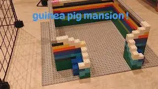 I made a literal MANSION for my guinea pigs 😌