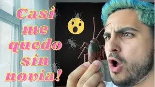 ASUSTO A MI NOVIA CON UNA CUCARACHA (BROMA)