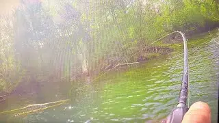 Fishing After a MASSIVE Rain Storm | 50+ Bass