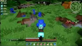 Kohi HCF - AnimalFarm Sotw