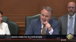 Texas Senate Committee on State Affairs   May 29th 2024 PART 2