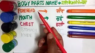 मानव शरीर के अंगों के नाम || human body parts name with picture || body parts name 