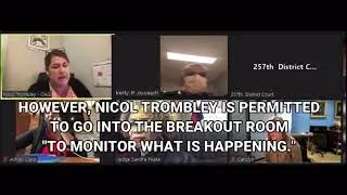 Judicial Corruption 257th Sandra Peake Harris County Deprived Pro se Litigant