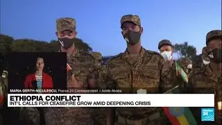 Calls for ceasefire in Ethiopia grow amid deepening conflict &bull; FRANCE 24 English