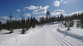Cross-country skiing in Vuokatti, Möykynlenkki track