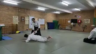 Shomen uchi sankyo