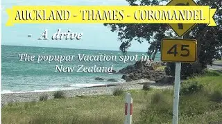 Auckland - Thames - Coromandel | A drive | New Zealand