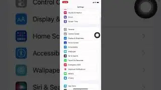 How to get the black dot bug on your iPhone 👍🏾
