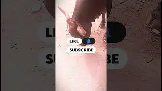 assalamualaikum dosto please subscribe my channel Mohammed khader ali