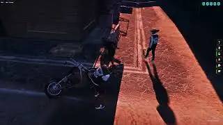 2 kleine Wölfe Unity Life
