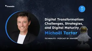 Digital Transformation: Challenges, Strategies, and Digital Maturity