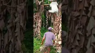 intip cewek mandi