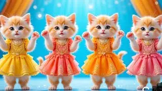 Cosmic Cats Song  - The Singing Cat Catchy Tune #funnycats #dancingcat