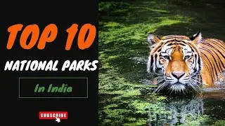 Top 10 National parks in india🤩 | National parks in india||🦁 #Nationalparksinindia #Factopia