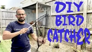 How to Make a DIY Bird or Fish Catching Net in a Few Simple Steps