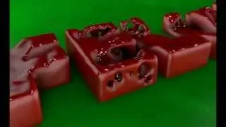Felinni TV